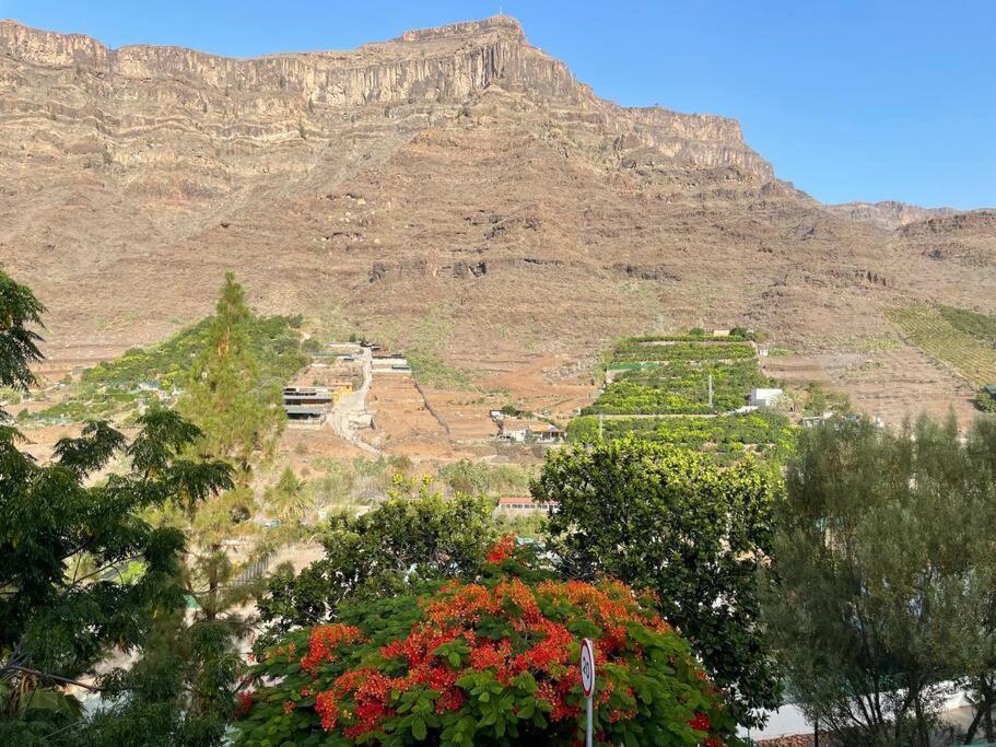 Cycling Holiday, 11 Km From Arguineguin Las Casillas  エクステリア 写真